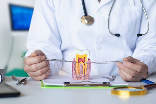 Best Knocked-Out Tooth Emergency  in Commerce, GA